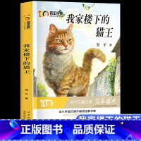 我家楼下的猫王 [正版]我家楼下的猫王翌平著五六年级课外阅读书籍百年经典当代儿童文学经典书小学生阅读人教版456上册