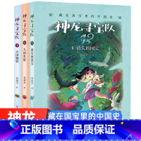 [正版]神龙寻宝队全套3册消失的国宝藏在国宝里的中国历史读物书谷清平儿童文学6-9-12岁小学生三四五年级趣味机智故事