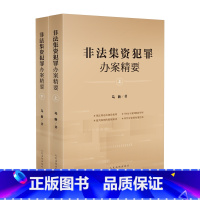 [正版] 2023新 非法集资犯罪办案精要 上下册 马新 非法集资犯罪 P2P网络借贷 案例评析裁判规则 非法集资犯罪