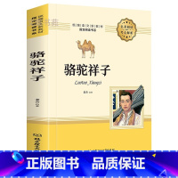 [正版]骆驼祥子原著 老舍 七年级文学书目初中生小学生课外阅读书籍三四五六年级语文儿童读物世界经典名著图书海底两万里