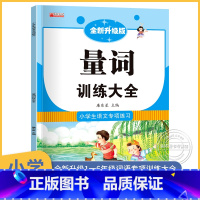 小学通用 [正版]量词叠词训练大全 小学1一6年级词语训练大全 积累重叠词小学生语文专项训练基础知识手册aabbc式字词