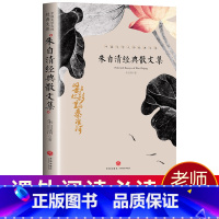 [正版]朱自清经典散文集 中小学生精选课外阅读经典散文作品书籍 中国文学大师经典文库