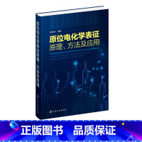 [正版] 原位电化学表征 原理方法及应用 电化学表征原位技术理论及应用书 电化学原位傅里叶红外光谱 电化学原位磁共振技