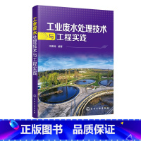 [正版]工业废水处理技术与工程实践 污水处理书籍 水资源污染治理 工业废水处理工艺与应用 纺织印染造纸石油化工废水处理