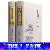 [正版]精装版2册唐诗三百首全集+宋词三百首全解无删减套装书 中国古诗词书籍鉴赏辞典古诗词大全集唐诗宋词三百首古诗词大