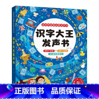 识字大王发声书 [正版]成语故事 会说话的点读发声书启蒙认知有声书充电版幼儿读物早教 0-3-6-8-10岁宝宝点读认知