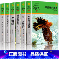 [全6册]沈石溪动物小说绿色特辑 [正版]沈石溪动物小说绿色特辑 全6册 一只猎鹰的遭遇第七条猎狗再被狐狸骗一次保姆蟒等