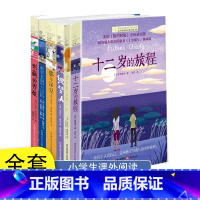 [套装 全6册]长青藤国际大奖小说书系 [正版]套装 全6册长青藤国际大奖小说书系 想要赢的男孩 十二岁的旅程 那年深