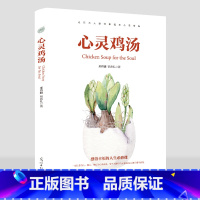 [正版]心灵鸡汤全集让你受益一生的300个哲理故事青春励志书书小故事大道理人生感悟修养女人如何做成功的自己 正能量