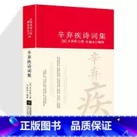 [正版]辛弃疾诗词全集诗集词集南宋 精装中国古诗词大全集全套唐诗宋词鉴赏赏析中国诗词大家系列丛书初高中生古典文学古诗词