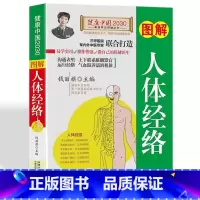 [正版]图解人体经络使用手册 穴位按摩中医养生人体经络书籍 家庭实用中医保健养生书籍 中医养生经络使用手册 经络按摩百