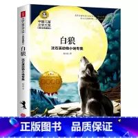 白狼 [正版]白狼书沈石溪动物小说专集彩图版中国儿童文学大赏小学生三四五六年级课外阅读书籍8-9-10岁儿童读物经典文学