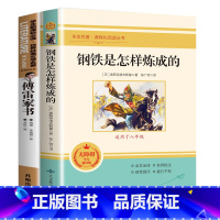 傅雷家书+钢铁是怎样炼成的[全2册] [正版]傅雷家书和钢铁是怎样炼成的全套2册 完整无删减八年级下册必读原著书籍怎么样