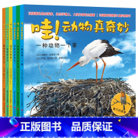 动物真奇妙[全套6册] [正版]哇!动物真奇妙全套6册 早教启蒙绘本3-4-5-6岁儿童读物启蒙认知绘本趣味科普图书百科