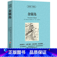 [正版]金银岛斯蒂文森原著读名著学英语中英对照英汉对照中英文双语版经典世界名著外国文学长篇小说英语读物初高中生课外阅读