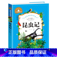 昆虫记 [正版]昆虫记法布尔彩图注音版儿童读物小学生课外阅读书籍一二三年级语文必读书目读书世界经典文学名著故事书带拼音1