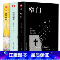 [正版]全3册窄门人间食粮田园交响曲原著安德烈纪德诺贝尔文学获奖得者现当代文学散文随笔外国文学小说纪德经典世界名著