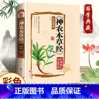 [正版]神农本草经古籍原版原著全彩珍藏版中医药学典藏彩色图鉴实用的现代家庭养生全书指导现代人的日常食疗食养中医养生保健