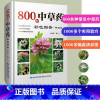 [正版] 800种中草药彩色图鉴 精选版 中草药图鉴 中草药材大全 中药 配方 中药图解 中草药彩图大全书 图解 中医