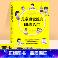 [正版]儿童感觉统合训练入门 王选民编著 抓住感觉综合发展的关键期 实施有效训练方法帮助孩子提升感统能力 儿童感觉统合