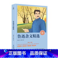 鲁迅杂文精选 [正版]奇遇经典文库-鲁迅杂文精选 /青少年励志小说名著 书目7-9-55岁儿童文学图书籍三四年级中小学生