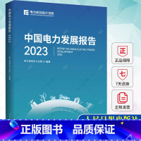 [正版] 中国电力发展报告2023 电力规划设计总院 9787511579034 人民日报出版社