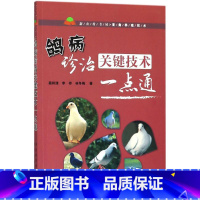 [正版] 鸽病诊治关键技术一点通 鸽病诊断与防治书籍 鸽子常见病多发病 新发病的鉴别诊断与治疗方法肉鸽养殖术书大全养鸽