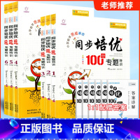 数学同步培优专题100分 专题特训 小学六年级 [正版]全脑数学小学数学思维解密同步培优专题100分专题特训一二三四五六