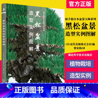 [正版]书籍 黑松盆景造型实例图解 (日)近代出版株式会社 编 贺寅秋 译 园林艺术 专业科技 湖北科学技术出版社 9