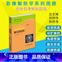 [正版]颅脑影像解剖图谱 影像解剖学系列丛书 医学图像鉴别诊断图 西医书籍 山东科学技术出版社978753316927