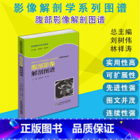 [正版]腹部影像解剖图谱 影像解剖学系列丛书 医学图像鉴别诊断图 西医书籍 9787533182359山东科学技术