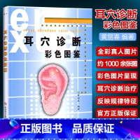 [正版]A书籍 耳穴诊断彩色图鉴 黄丽春编著 医学书籍 科学技术文献出版社9787502358792