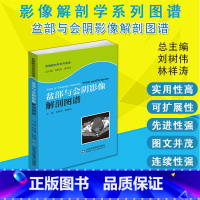 [正版]盆部与会阴影像解剖图谱 影像解剖学系列丛书 医学图像鉴别诊断图 西医书籍 9787533189044山东科学技