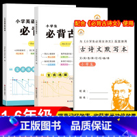 全套3册英语单词+古诗文+默写本 小学通用 [正版]艾宾浩斯古诗词小学生古诗文默写本英语单词全套3本一二四四五六年级