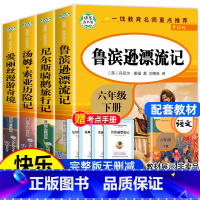 [全4册]鲁滨逊漂流记+尼尔斯骑鹅旅行记+汤姆•索亚历险记+爱丽丝漫游奇境 [正版]鲁滨逊漂流记六年级下册必读的课外书全