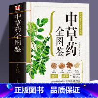 [正版]543页中草药全图鉴 全彩草药实图拍摄 中草药大全中医书籍中医专家审定养生速查全图解 中草药书中药书籍养生保健