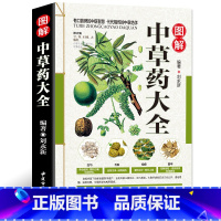 [正版] 彩图全图全解中草药大全 中药材识别图鉴书籍 中医入门中草药大全书籍药材植物彩图中药大全书中医大全书中草药图鉴