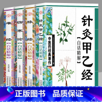 [正版]中医药经典系列全套4册 伤寒论针灸甲乙经脉经难经白话精解中医名家医学中医针灸诊脉自学入门书籍临床应用理论与实践