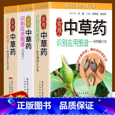 [正版]全新 常用中草药识别应用图谱全3册 药用部位 功效主治 精致中草药工具丛书 中药学习 中药材辨别 本草纲目中医