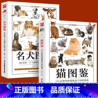 [正版]铜版纸全2册猫图鉴+名犬图鉴狗狗训练教程狗狗品种大全名犬图鉴179种纯种猫的特征宠物习性书籍动物科普 养猫养狗