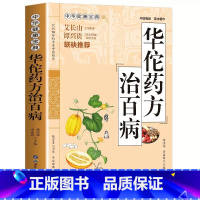 [正版] 华佗药方治百病 中华健康宝典 中医基础理论胃病中药调理常见病诊断与用药方剂学 华佗神医秘传民间秘方验方华佗神