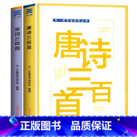 [全套2册]唐诗宋词三百首 [正版]唐诗三百首 完整版全集 全2册 宋词三百首 小学生注音版儿童版一二三四五年级带拼音唐