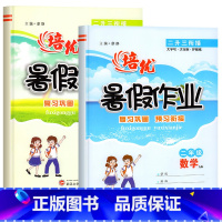 [暑假作业]人教版语文+人教版数学 二年级下 [正版]二年级暑假作业下册二升三暑假衔接人教版专项训练语文数学2升3年级小