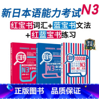 [正版]新日本语能力考试N3红宝书蓝宝书红蓝宝书文法文字词汇1000题练习详解经典红蓝宝日语1真题日语JLPT三级语法