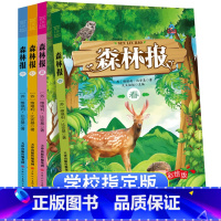 [正版]森林报春夏秋冬全四册全集五年级必读的课外书 7-10-15岁三四2023老师小学生课外阅读书籍 8-12周岁儿