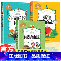 彩图注音版 二三年级必读课外书[全3册] [正版]一二年级三年级课外书必读老师带拼音儿童故事书绿野仙踪狐狸列那的故事宝葫