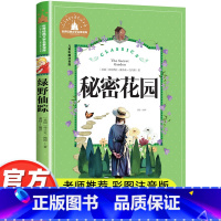 秘密花园 [正版]秘密花园彩图注音版小学生一年级二年级三年级阅读课外书必读书老师带拼音儿童读物6-7-8-10岁故事书世