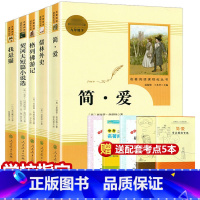 九年级下册 简爱+儒林+我是猫+格列佛+契科夫[全套5册] [正版](共5本)九年级下册简爱儒林外史契诃夫短篇小说集我是