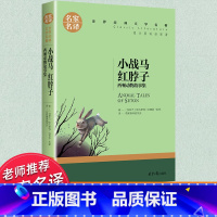 世界经典 文学名著[小王子] [正版]小王子 圣埃克苏佩里原著无删减童话故事书 青少年初中生小学生课外阅读书籍三四五六年