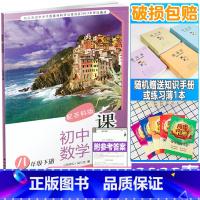 数学课课练 八年级下册 八年级下 [正版]2023春八年级下册数学课课练苏教版新版8年级下册课课练数学苏科版初二8下数学